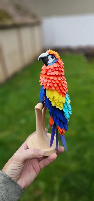 Macaw Feather Puzzle