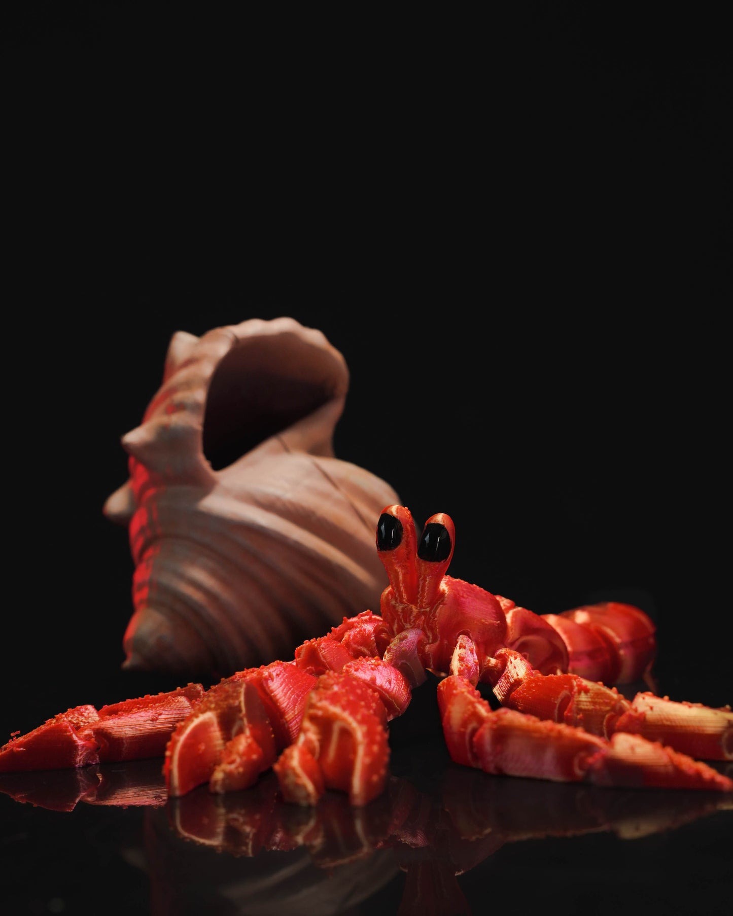 Journey The Shy Shell