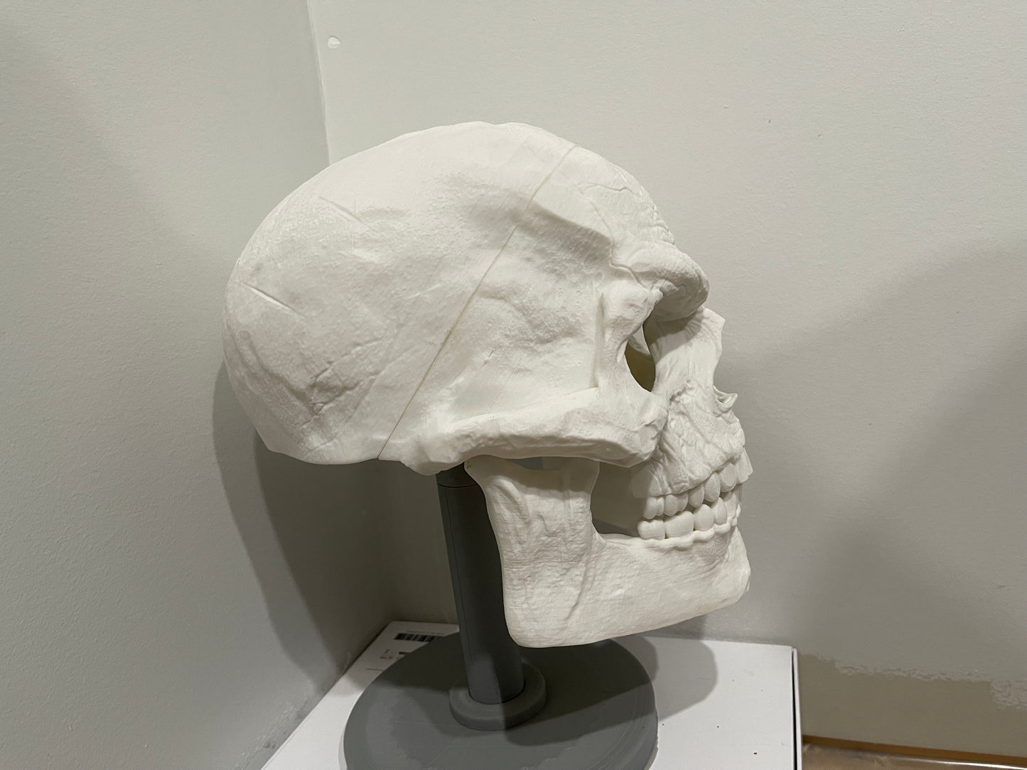 Skull Of Night-terror