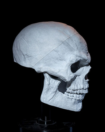 Skull Of Night-terror