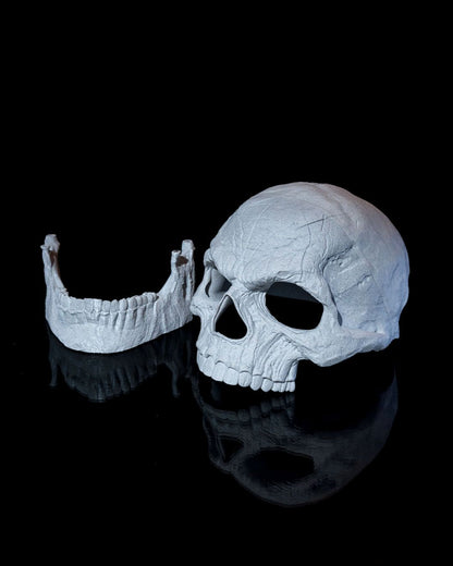 Skull Of Night-terror