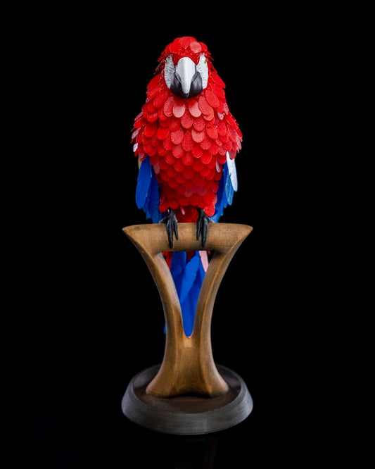 Macaw on perch