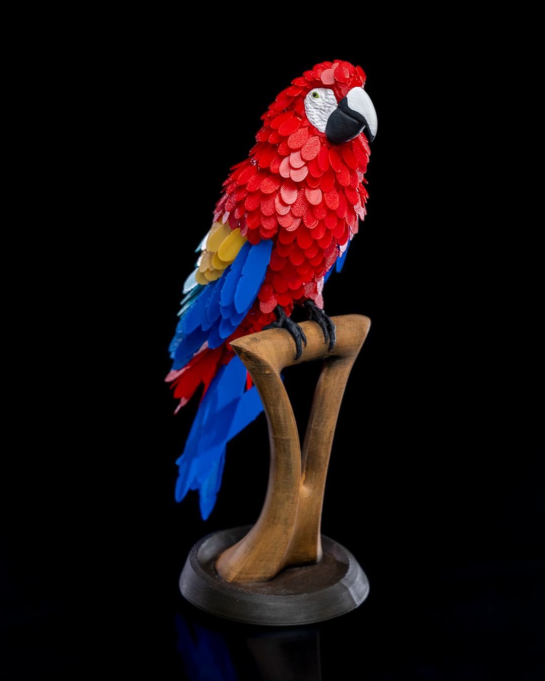 Left side Macaw on perch