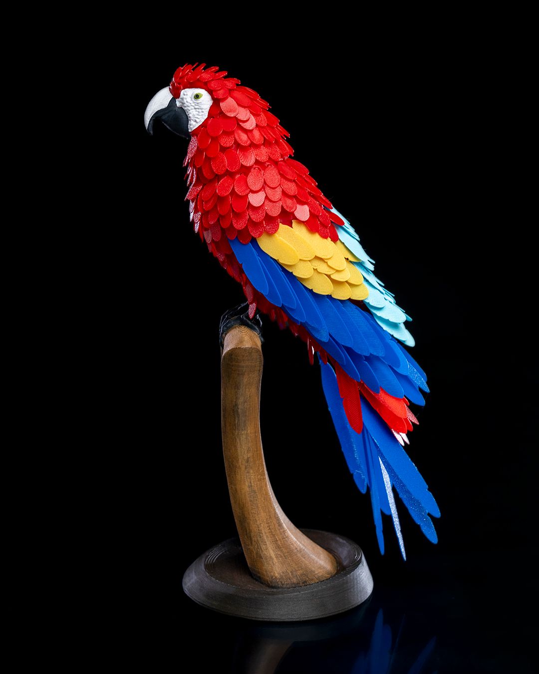 Right side Macaw on perch