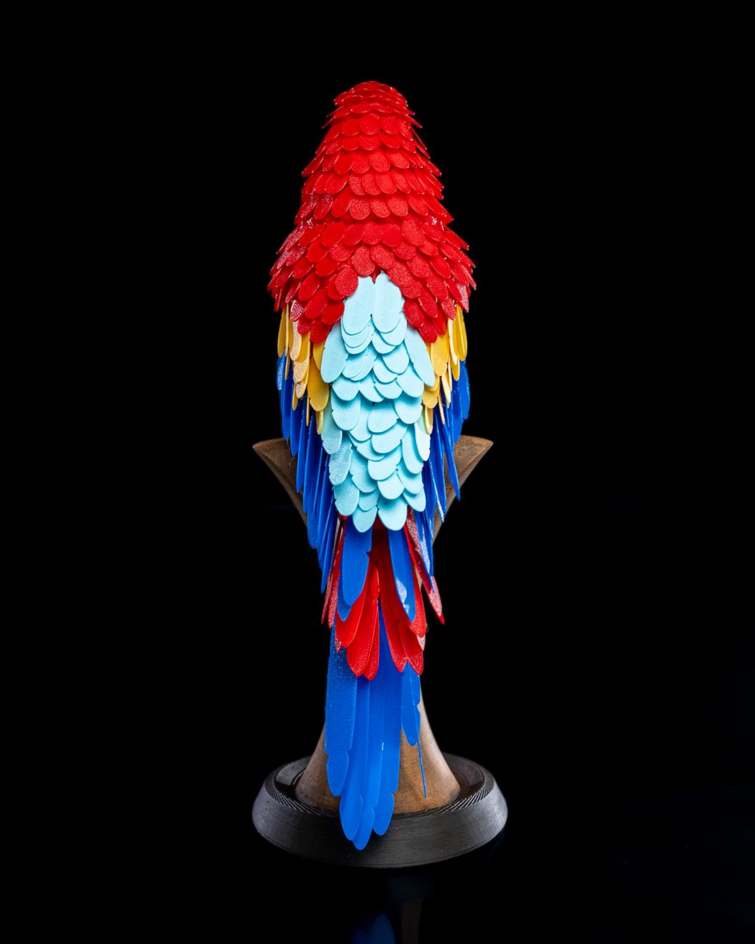 Rear view Macaw sitting on perch