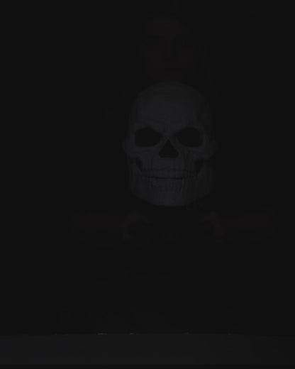 Skull Of Night-terror
