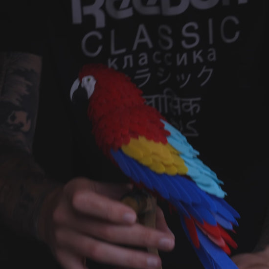 How to assemble the Macaw Feather Puzzel