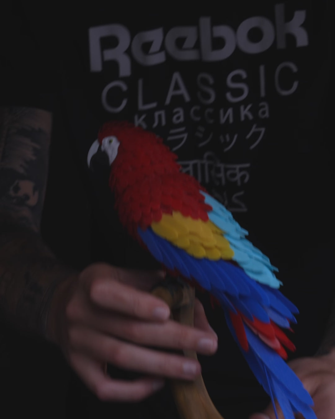 How to assemble the Macaw Feather Puzzel